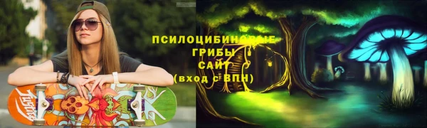 jwh Инсар