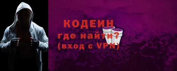 гашик Инта