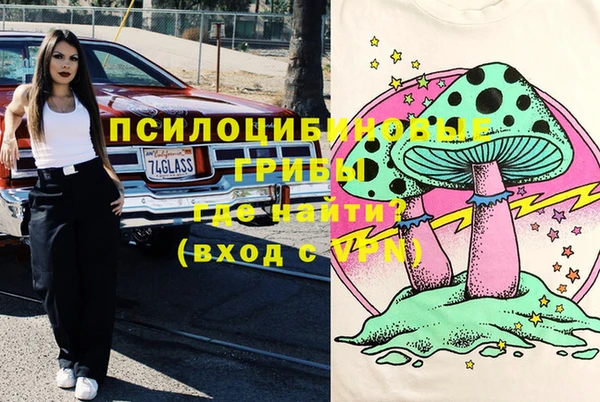 гашик Инта