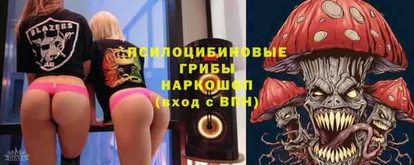 гашик Инта