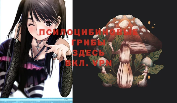 гашик Инта