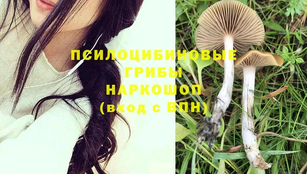 герыч Иннополис