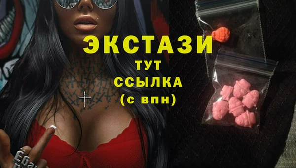 гашик Инта