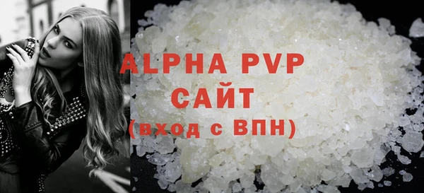 гашик Инта
